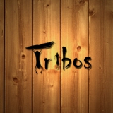 tribos_tecnologia_e_web_marketing_ltda.jpg